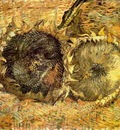 two cut sunflowers version