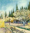 orchard in blossom, bordered by cypresses version