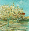 orchard in blossom version