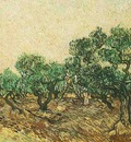 Olive Picking
