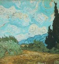 wheat field with cypresses version