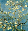 Blossoming Almond Tree