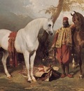 Alfred Dedreux The Mounts of Abd El Kader