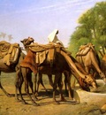 Jean Leon Gerome Camels At The Trough