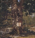 The Bodmer Oak [1865]