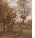 a  autumn landscape with four trees, nuenen
