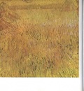 a  vista field of wheat at arles, arles