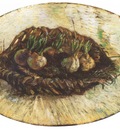 basket with sprouts bulbs, paris