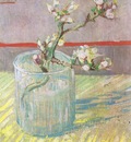 branch almond blossom in a glass, arles