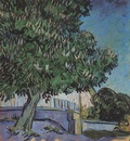 chestnut tree in blossom, auvers sur oise