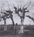 landscape with pruned willows, nuenen
