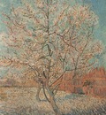 peach blossom, arles