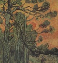 pine trees against red sky with sunset, saint remy