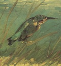 the kingfisher, paris