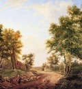 Immerzeel C Forest landscape Sun