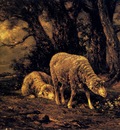 Jacque Charles Emile Sheep In A Forest