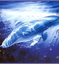 pa LassenCR 10 DolphinVision