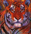 crl Tiger