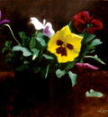 Pansies