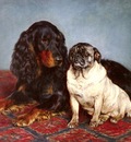 Bache Otto A Spaniel And A Pug