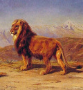 Lion in a Landscape