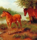 Basil Bradley A Mare and Her Foal, De