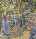 pissarro the apple pickers
