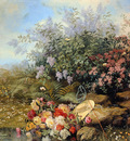 Capeinick Jean Summer Sun
