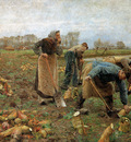 Claus Emile The beet harvest Sun