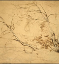 Corot Clump of Trees at Civita Castellana, 1826, NG Washingt