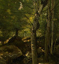 Corot Rocks in the Forest of Fontainebleau, 1860 1865, Detal