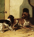 Cunaeus Conradyn A King Charles Spaniel And A Drentse Partridge Dog