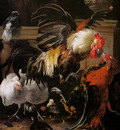 DHondecoeter Melchior Roosters fighting Sun