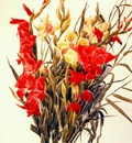 demuth red and yellow gladioli