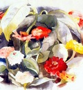 demuth zinnias
