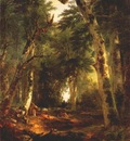 durand in the woods