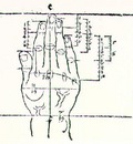 DURER HAND, DRAWING