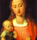 Albrecht Durer Madonna of the Pear