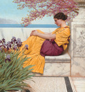 Godward Under the Blossom that Hangs on the Bough