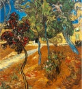 van Gogh Trees in the Asylum Garden, 1889, 73x60 cm, Private