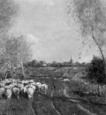 Hamel Willem Sheepsherd at Rolde Sun
