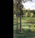 hallowed ground csg014 hazeltine 16th hole
