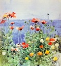hassam poppies, isles of shoals 1891 r
