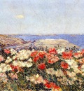 hassam poppies on the isles of shoals