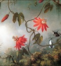 lrsHeadeMartinJohnson PassionFlowers HumBirds