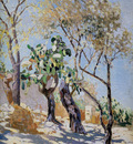 Himona Nikolai Landscape with cactuses Sun