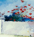 Homer A wall, Nassau, 1898, 37 5x54 cm, Watercolor, Metropol