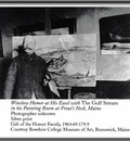 zFox SWD WH 16 Winslow Homer