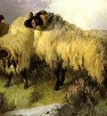 Horlor George W  Highland Scene With Sheep And Grouse