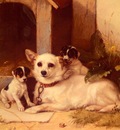 Hunt Walter Mother And Puppies